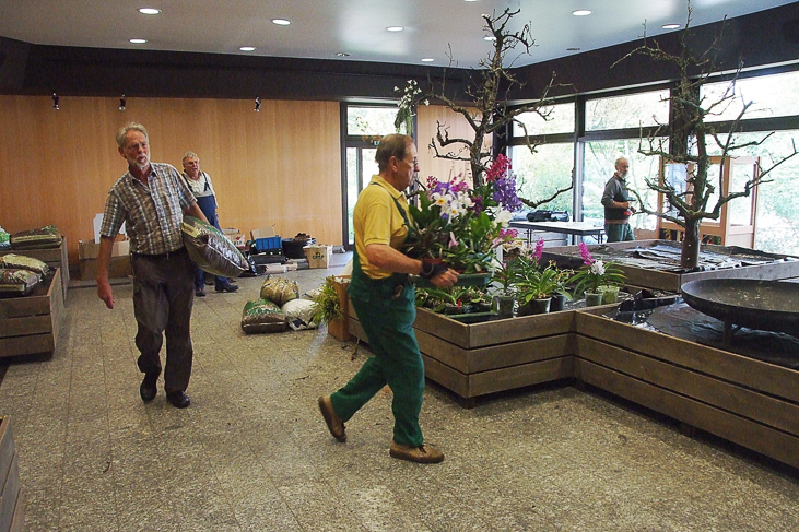 2014_0922Orchideentage0018
