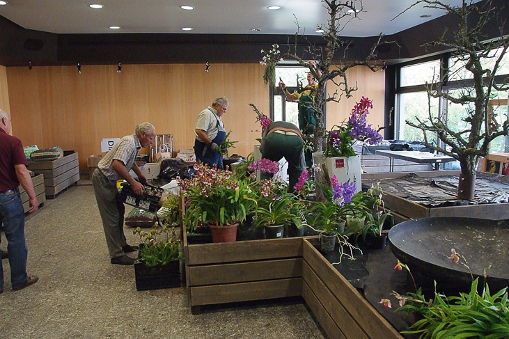 2014_0922Orchideentage0024
