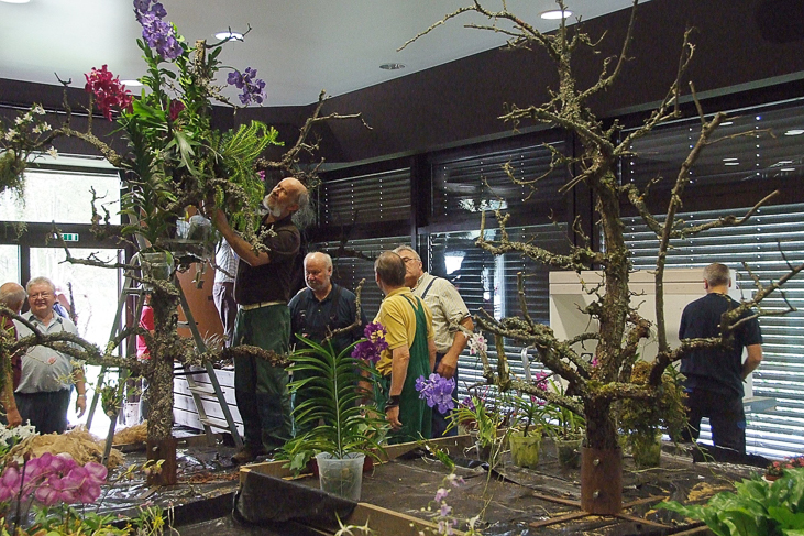 2014_0922Orchideentage0037