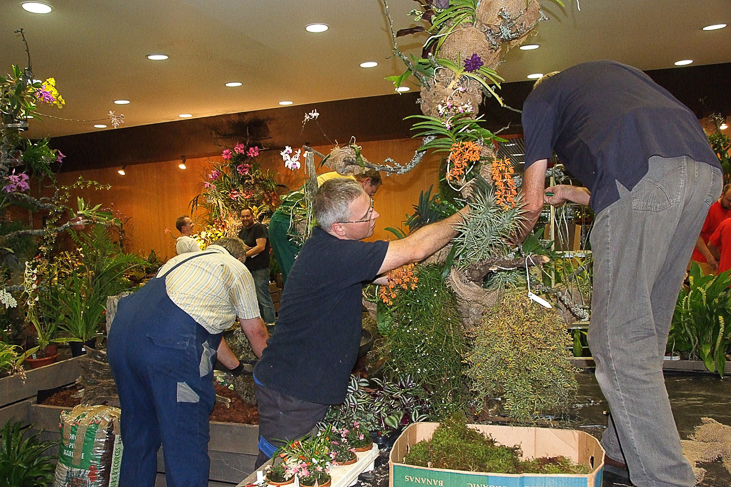 2014_0922Orchideentage0056