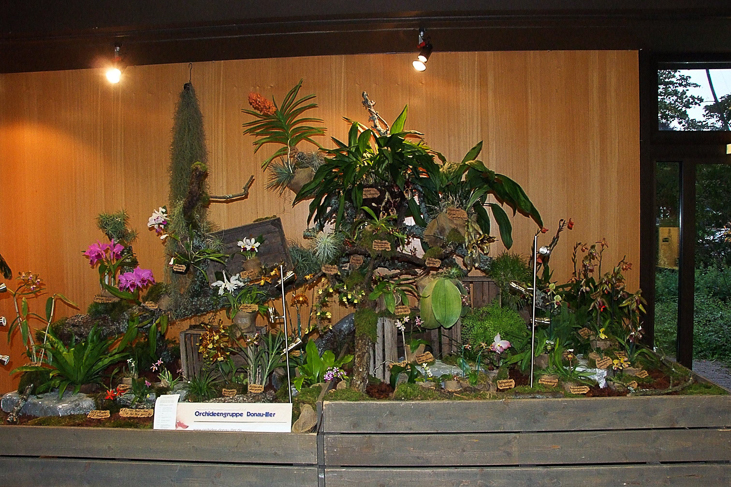 2014_0922Orchideentage0058