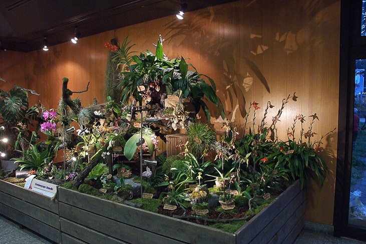 2014_0922Orchideentage0062