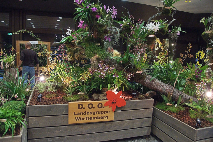 2014_0922Orchideentage0064