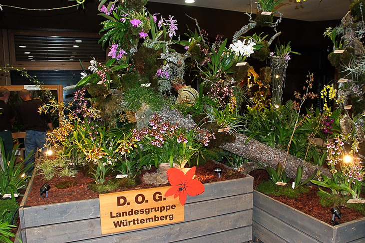 2014_0922Orchideentage0065