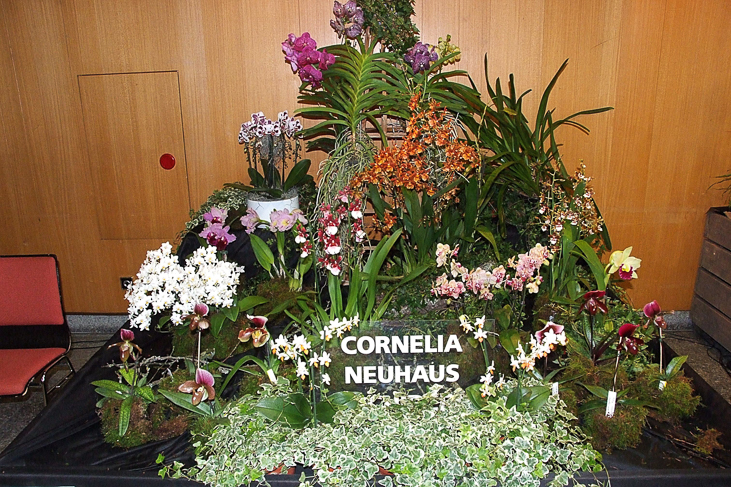 2014_0922Orchideentage0068