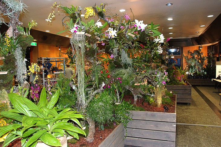2014_0922Orchideentage0069