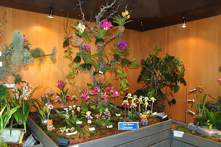 2014_0922Orchideentage0075