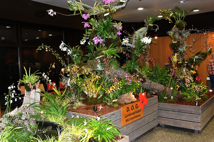 2014_0922Orchideentage0077